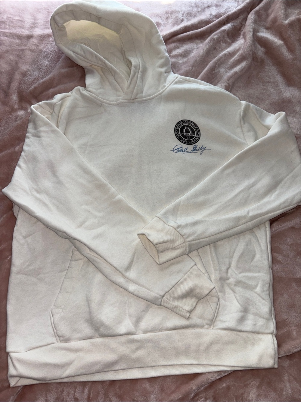 Hollister hoodie